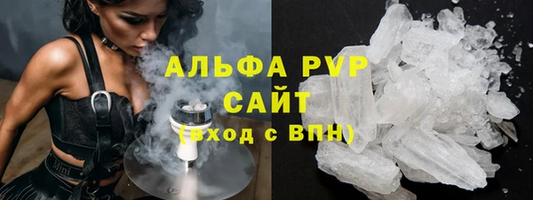 индика Аркадак