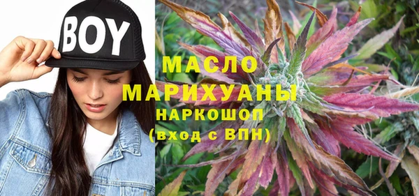 индика Аркадак