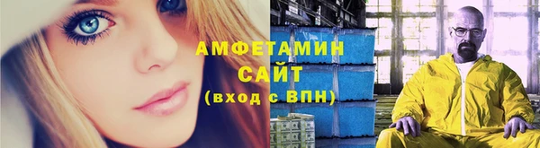 индика Аркадак