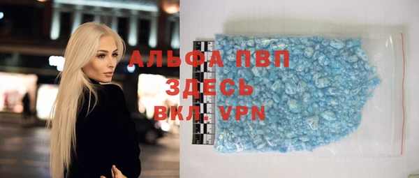 индика Аркадак