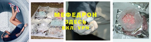 индика Аркадак