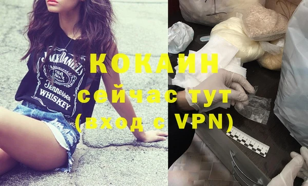 индика Аркадак