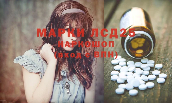 индика Аркадак