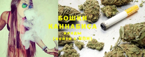 соль ск Арсеньев