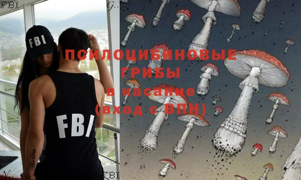 индика Аркадак