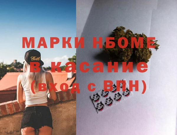 индика Аркадак