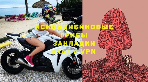 соль ск Арсеньев